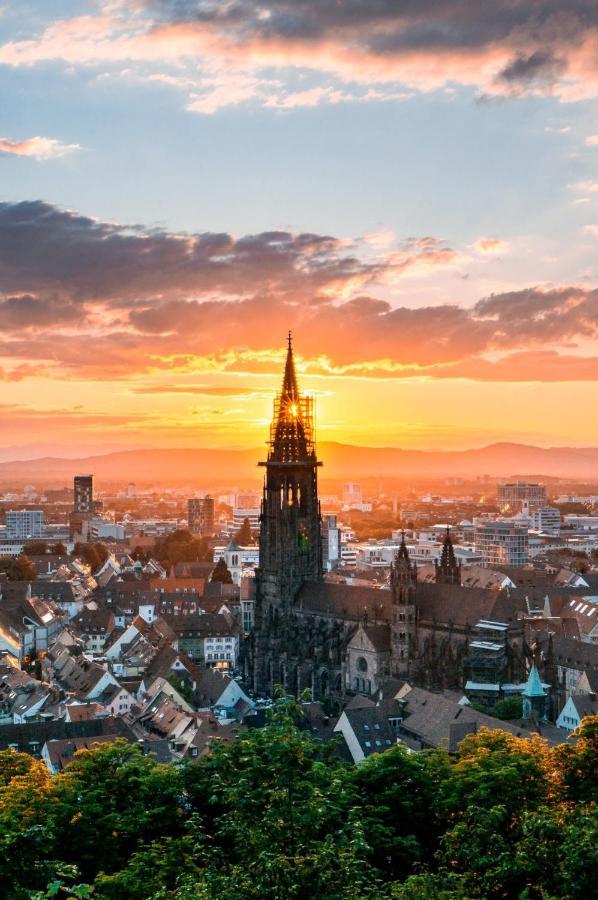 Luxus Apartment Ludwigxv Freiburg im Breisgau Buitenkant foto