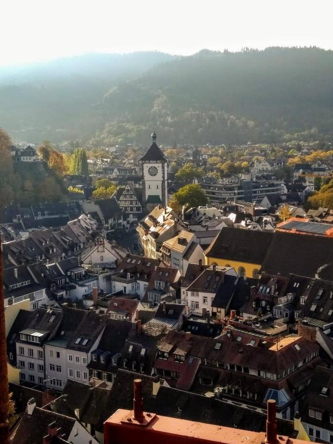 Luxus Apartment Ludwigxv Freiburg im Breisgau Buitenkant foto